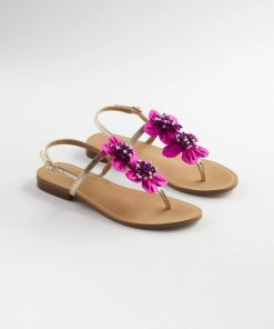 Pacecast.shopdfb5d1e0a6 1